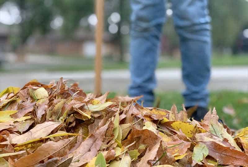 A pile of leaves in fall waiting to be picked  up by a landscaper