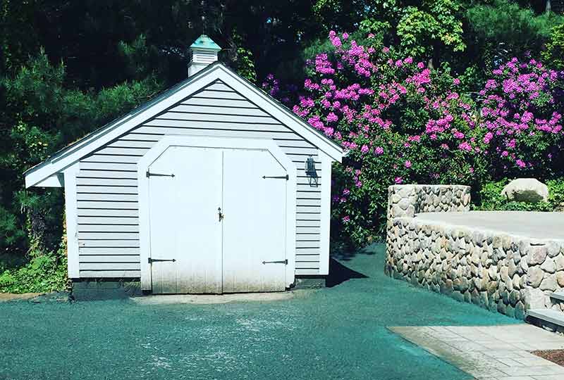 Hydroseeding lawn around a shed and patio area