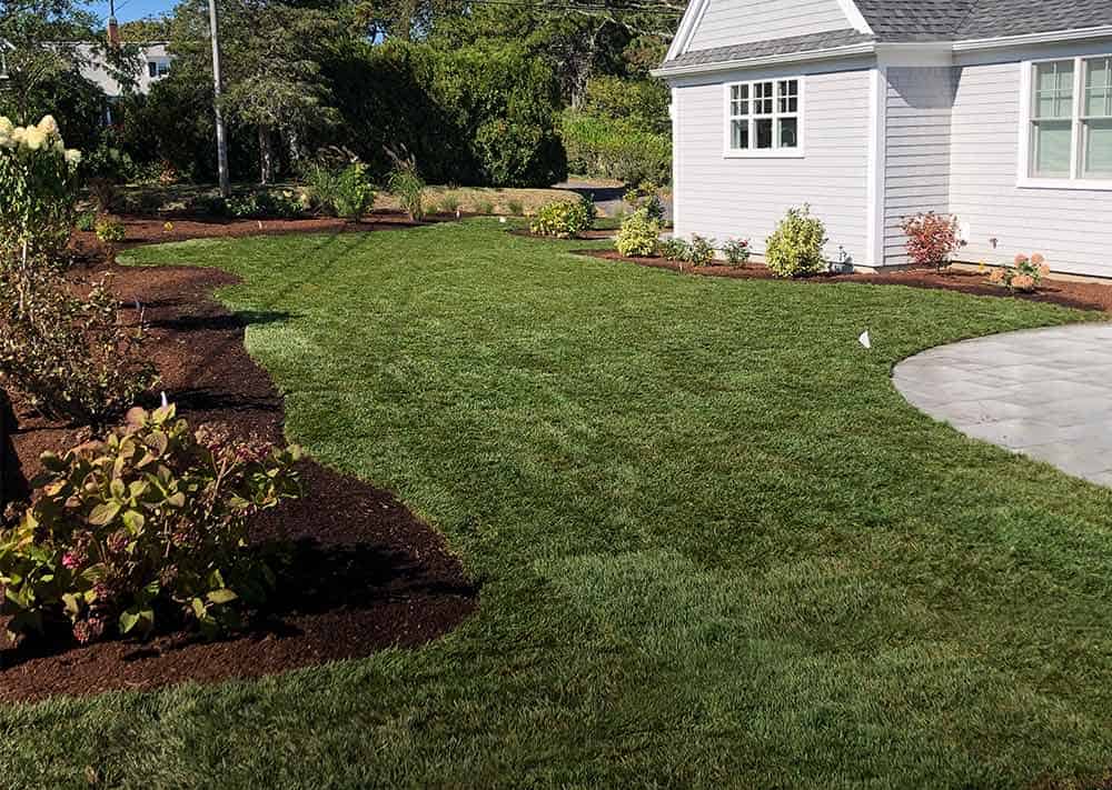 A new lawn with mulched flowerbeds and a walkway